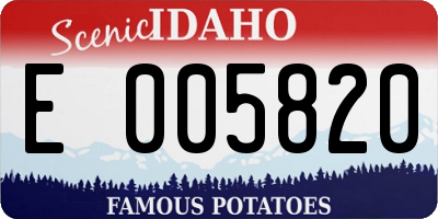 ID license plate E005820