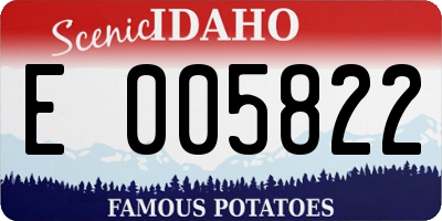 ID license plate E005822