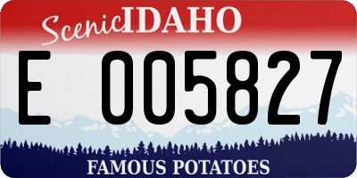 ID license plate E005827