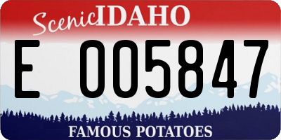 ID license plate E005847