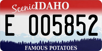 ID license plate E005852