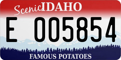 ID license plate E005854