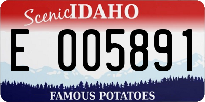 ID license plate E005891