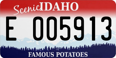 ID license plate E005913