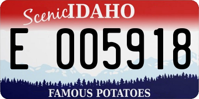 ID license plate E005918