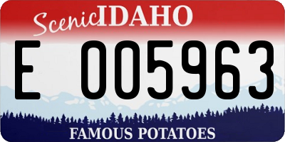 ID license plate E005963