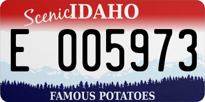 ID license plate E005973