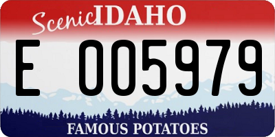 ID license plate E005979