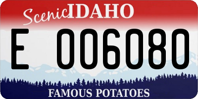 ID license plate E006080