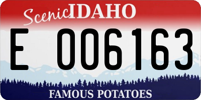 ID license plate E006163