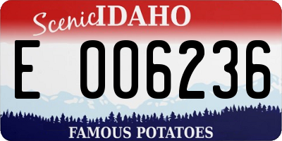 ID license plate E006236