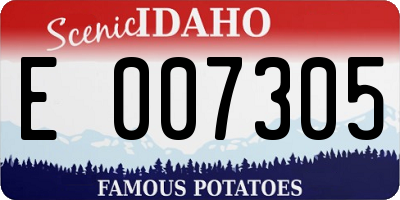 ID license plate E007305