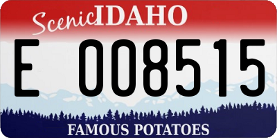 ID license plate E008515