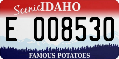 ID license plate E008530