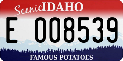ID license plate E008539
