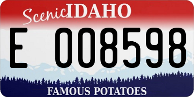 ID license plate E008598