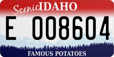 ID license plate E008604