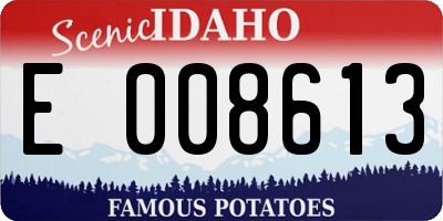 ID license plate E008613