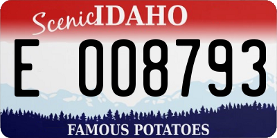 ID license plate E008793