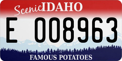 ID license plate E008963