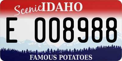 ID license plate E008988