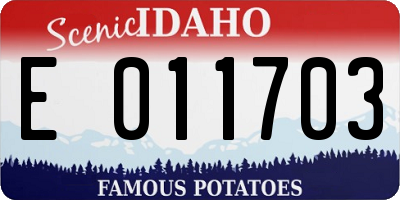 ID license plate E011703