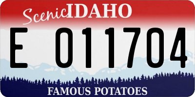 ID license plate E011704