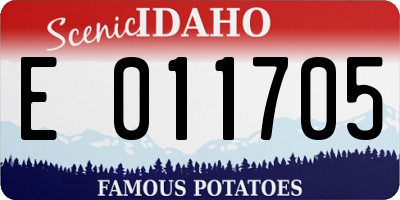 ID license plate E011705