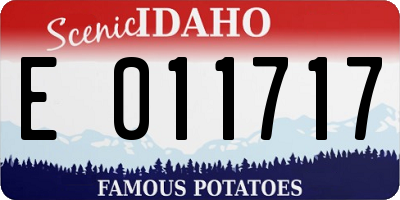 ID license plate E011717