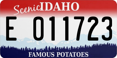 ID license plate E011723