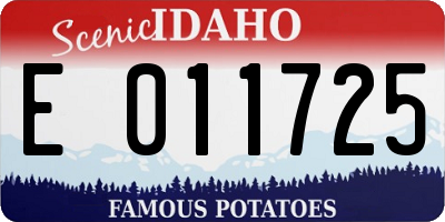 ID license plate E011725