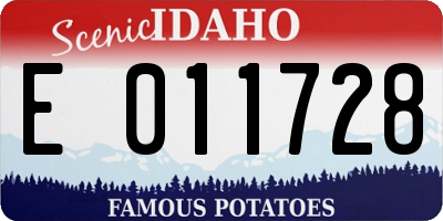 ID license plate E011728