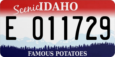 ID license plate E011729