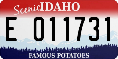 ID license plate E011731