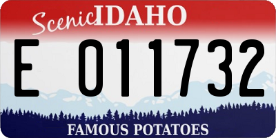 ID license plate E011732