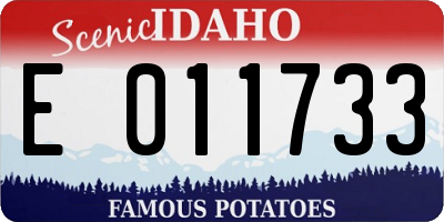 ID license plate E011733