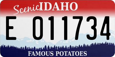 ID license plate E011734