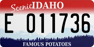ID license plate E011736