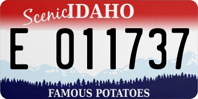 ID license plate E011737