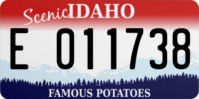 ID license plate E011738