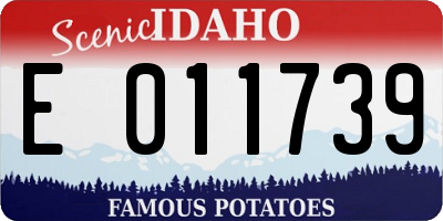 ID license plate E011739
