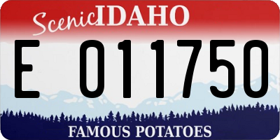 ID license plate E011750
