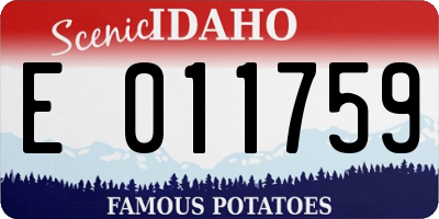 ID license plate E011759