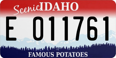 ID license plate E011761