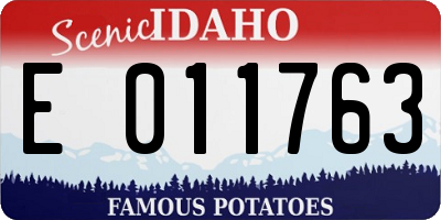 ID license plate E011763