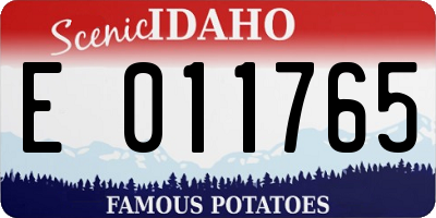 ID license plate E011765