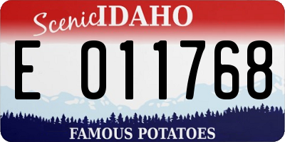 ID license plate E011768
