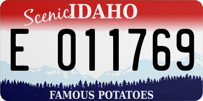 ID license plate E011769