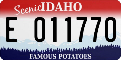 ID license plate E011770