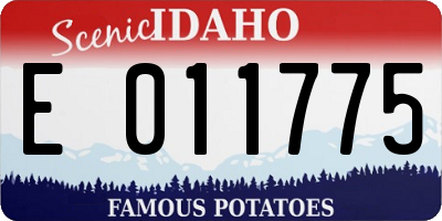 ID license plate E011775